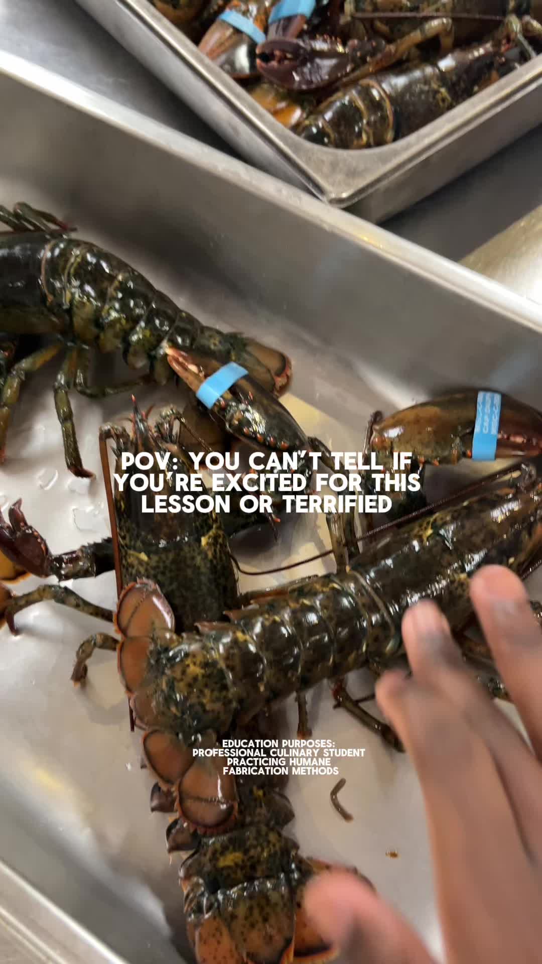 @Chef A’Donies