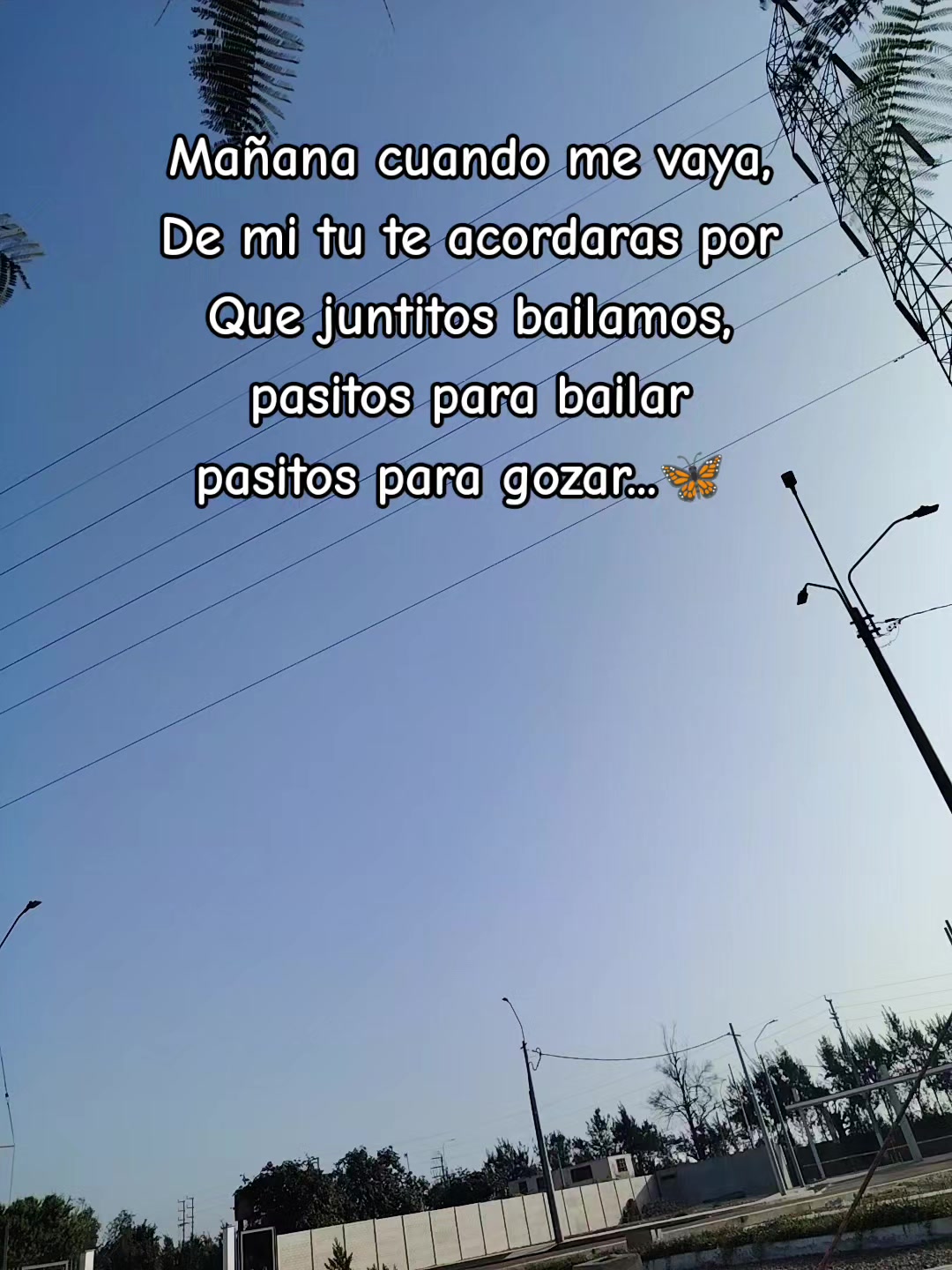 @🤍 🦋Erika🦋 🤍