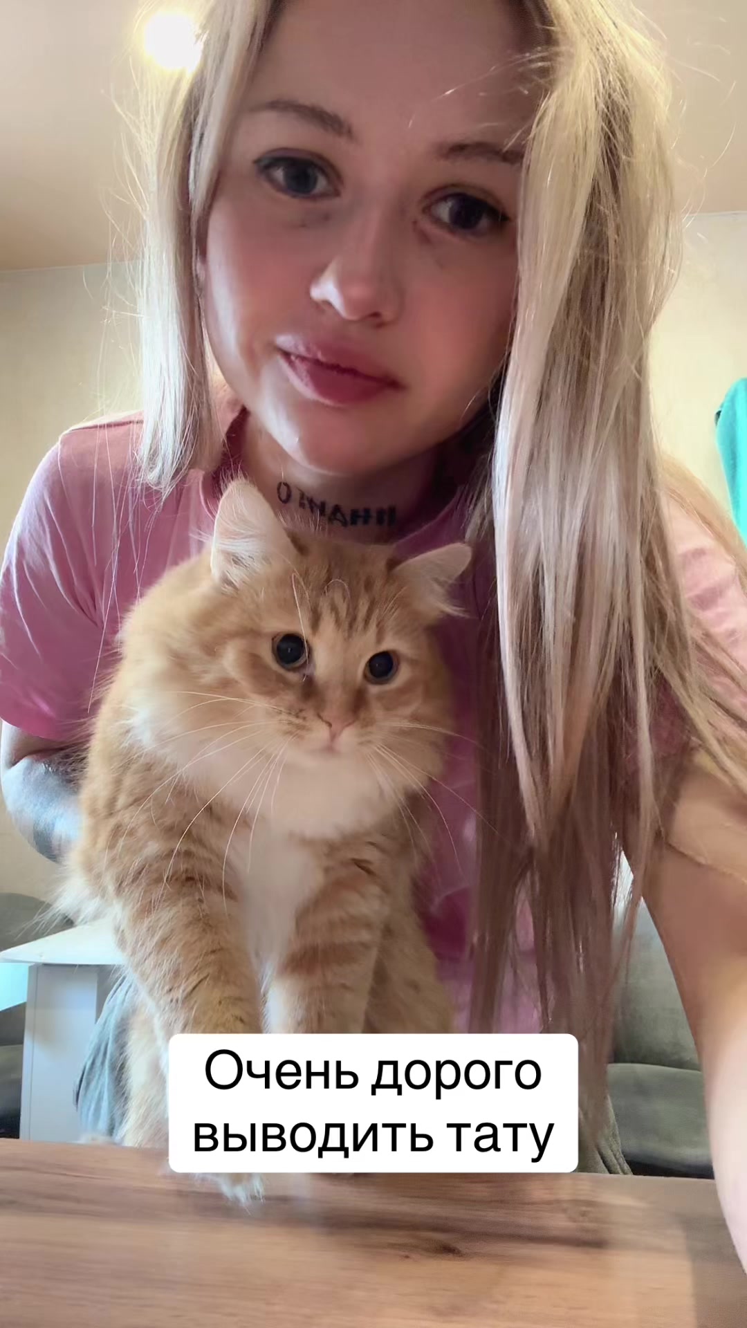 @safflowerr