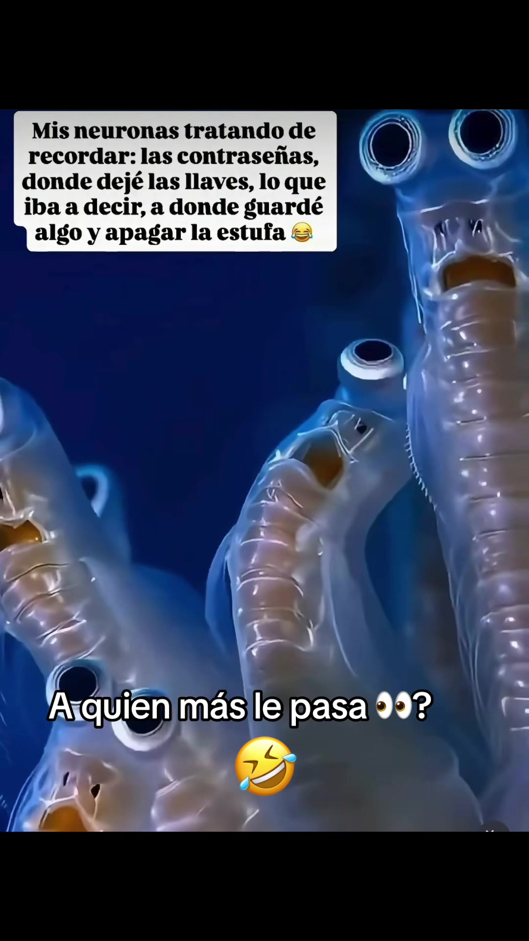 @Te espero en páginas no escrit