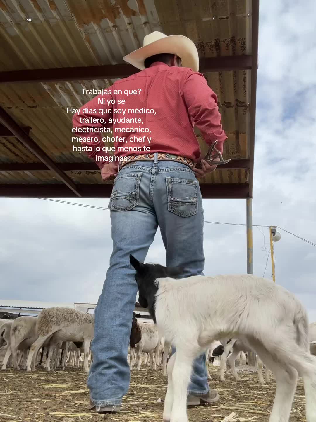 @FcoPalacios