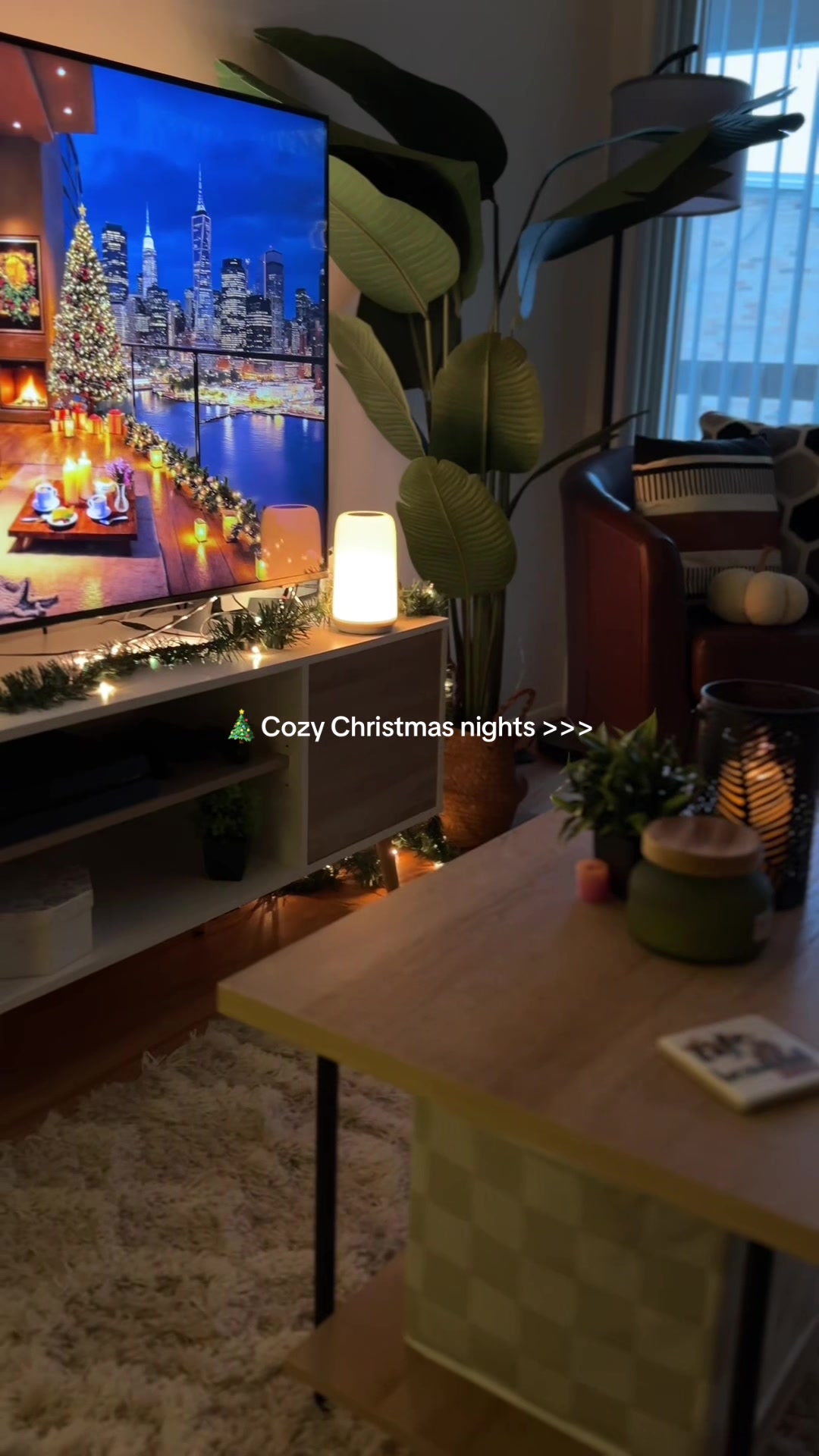 @Cozy Finds Life