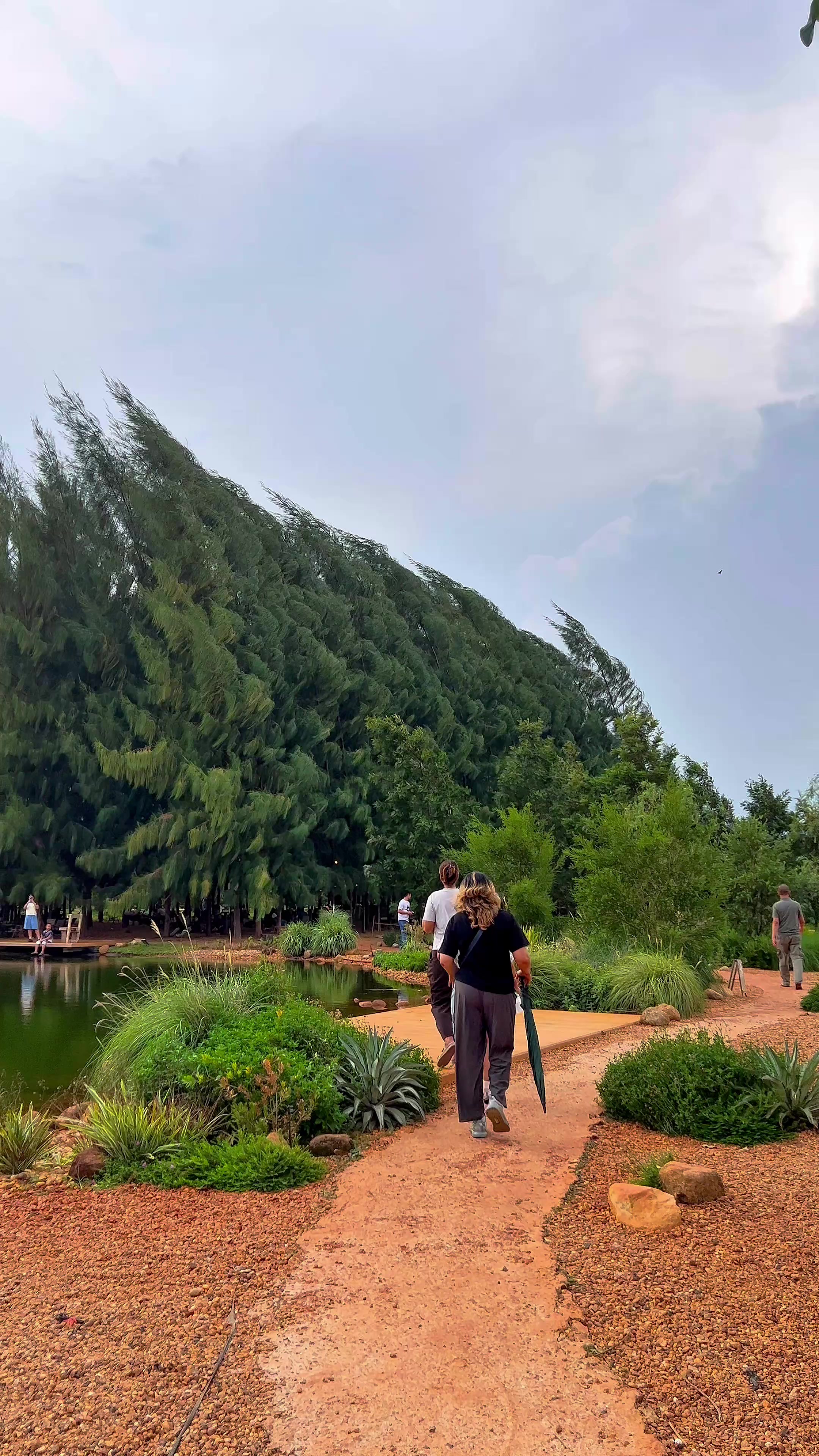 @ไร่วันยังขำ Oneyoungkham farm