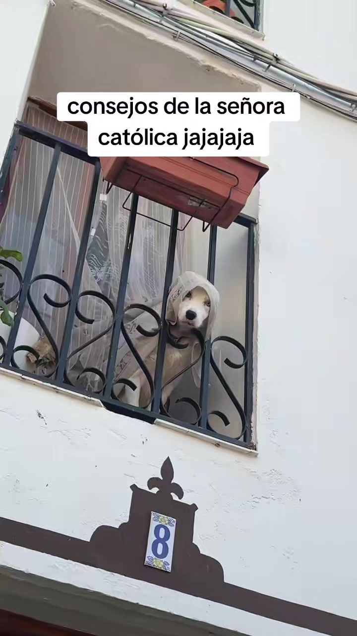 @Francisco Ulises jacinto