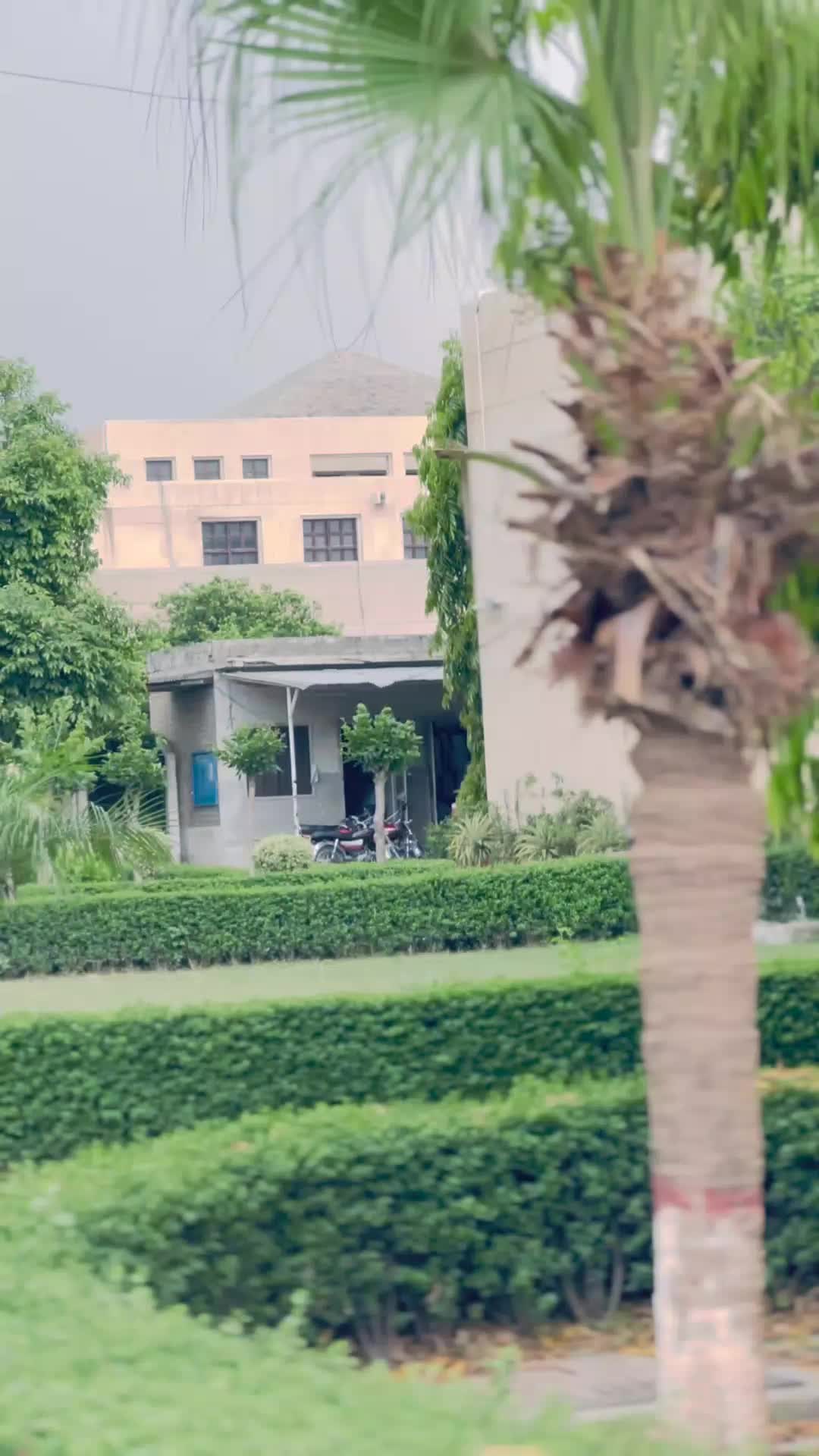 @آمن پرست 🌄
