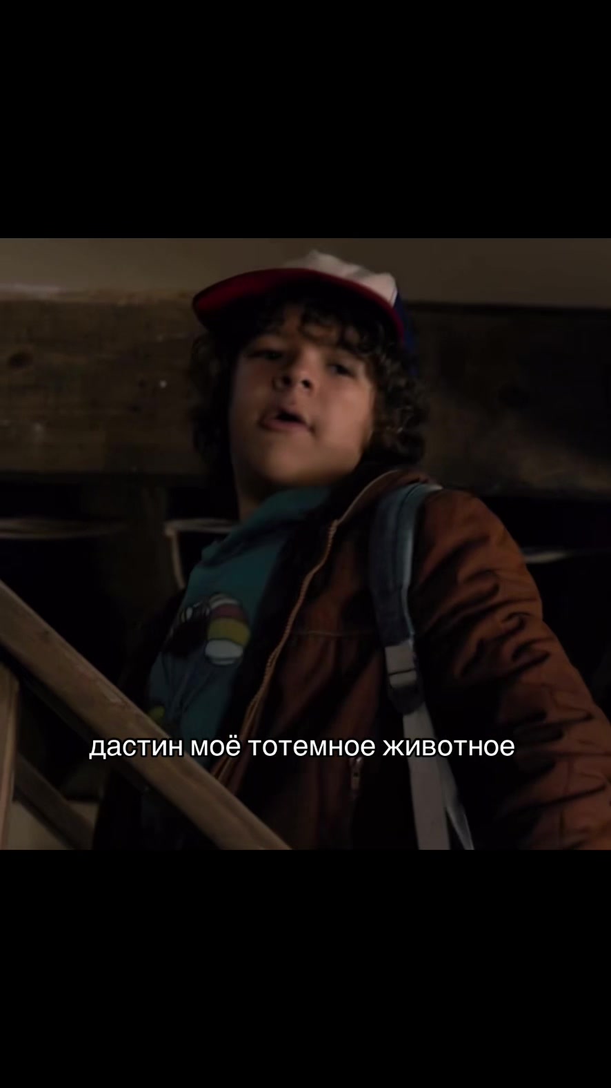 @велвикс