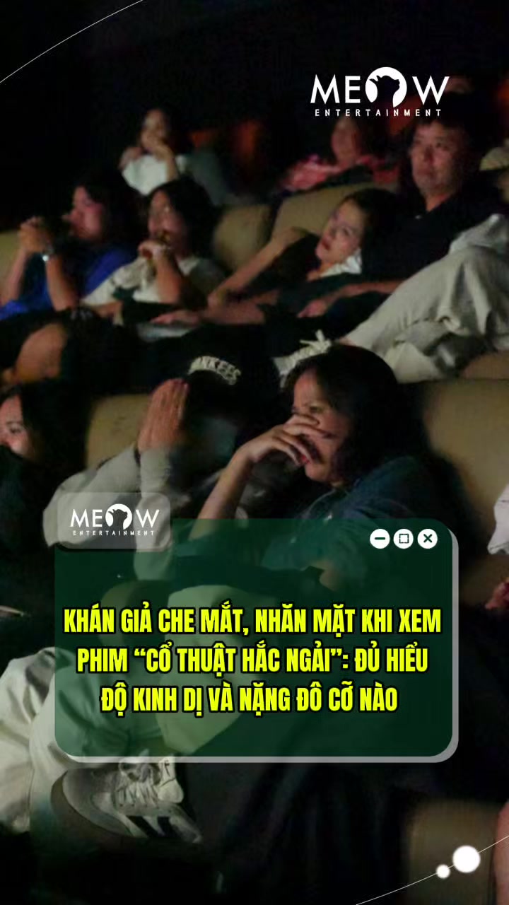 @MEOW ENTERTAINMENT