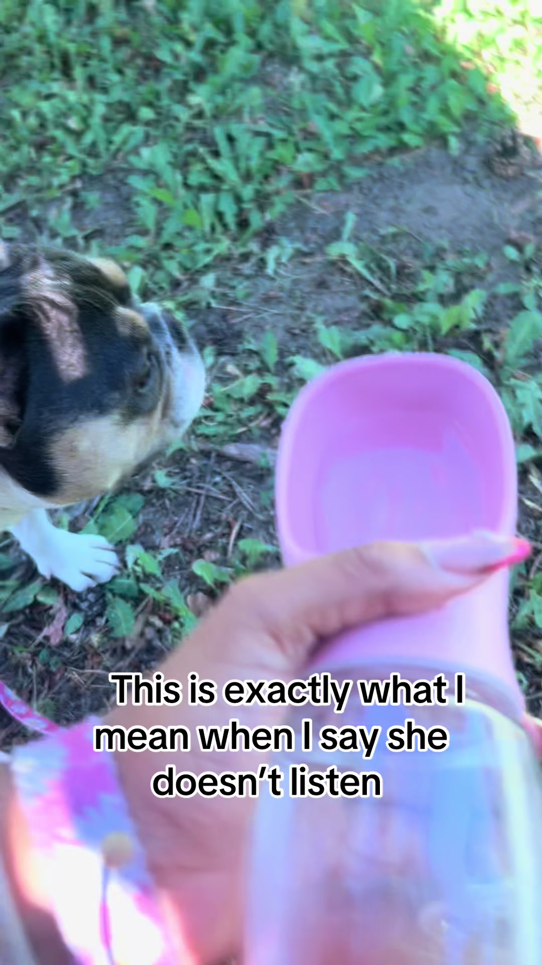 @Belle 🐾💖