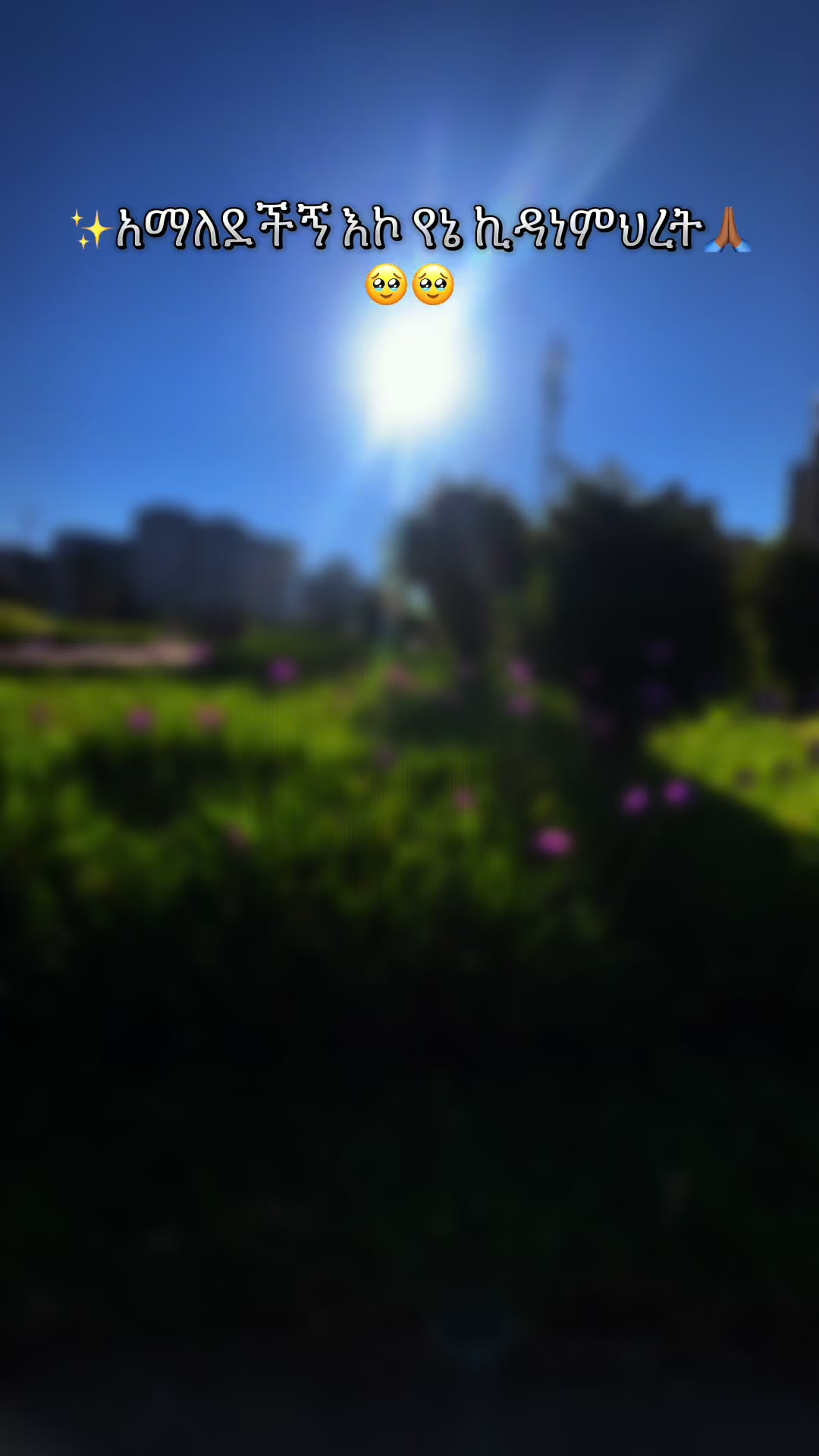@Bezi Getnet