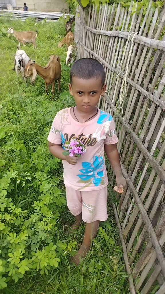 @Md Hasan