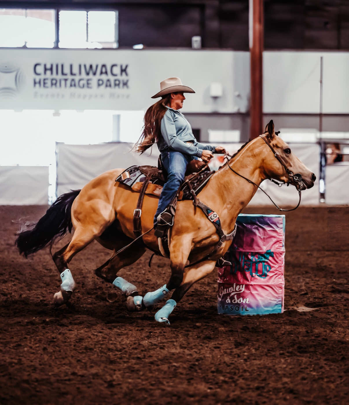 @Diamond W Barrel Horses 🇨🇦