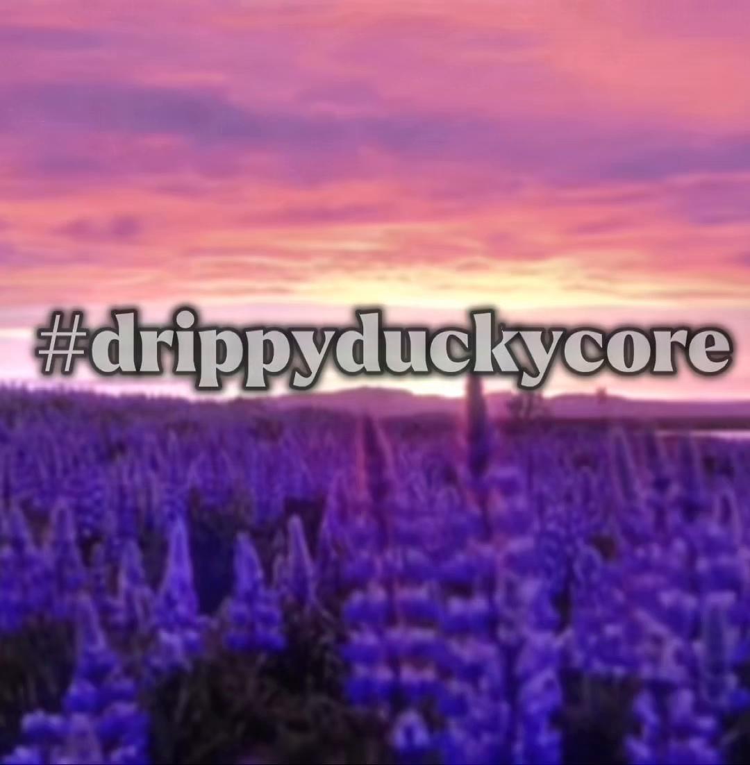 @DrippyDucky325 (Flytroop)