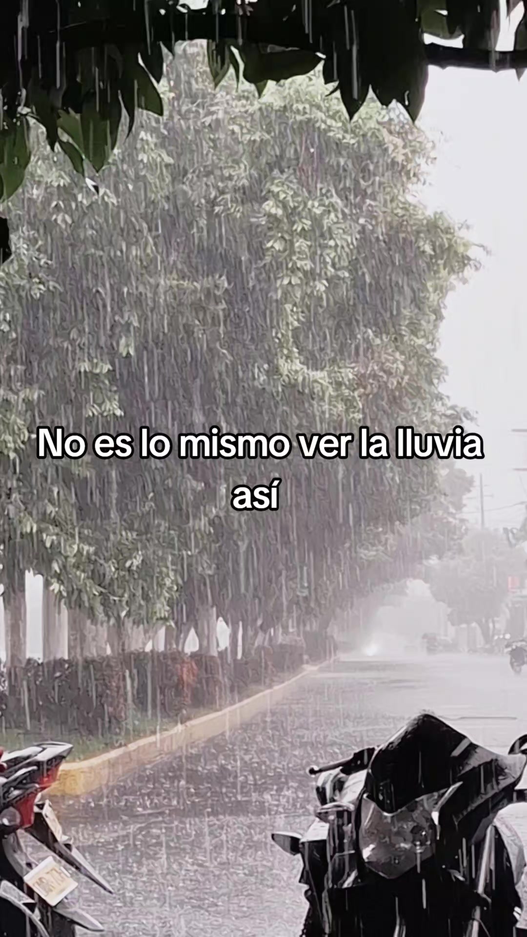 @lunasaharayrestrepo2