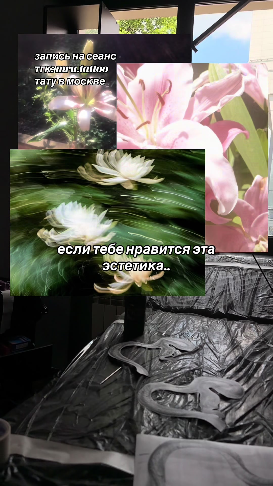 @МАРУ ТАТУ
