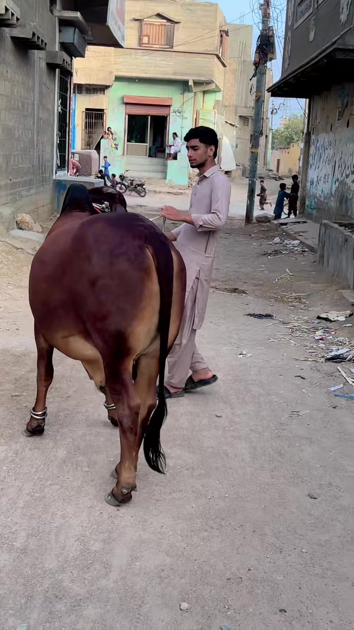 @اسدبادشاہ⚜️