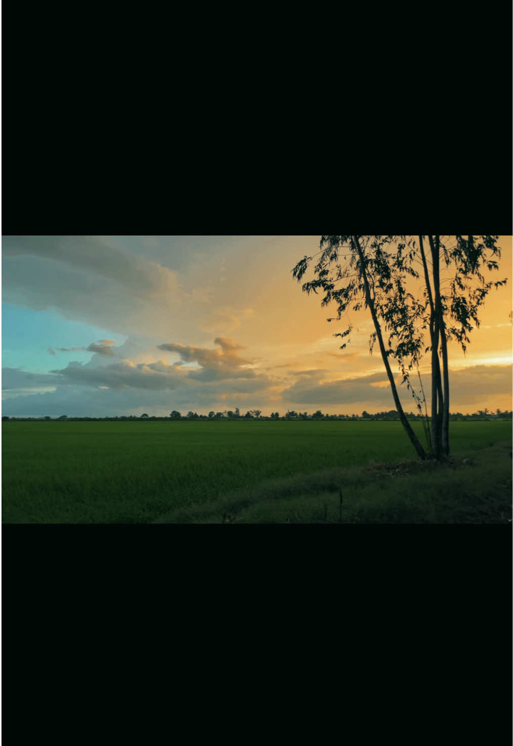 @𝐁ả𝐨 𝐇&acirc;𝐧