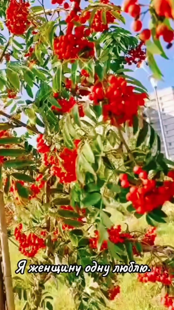 @Марина 🌹🍃
