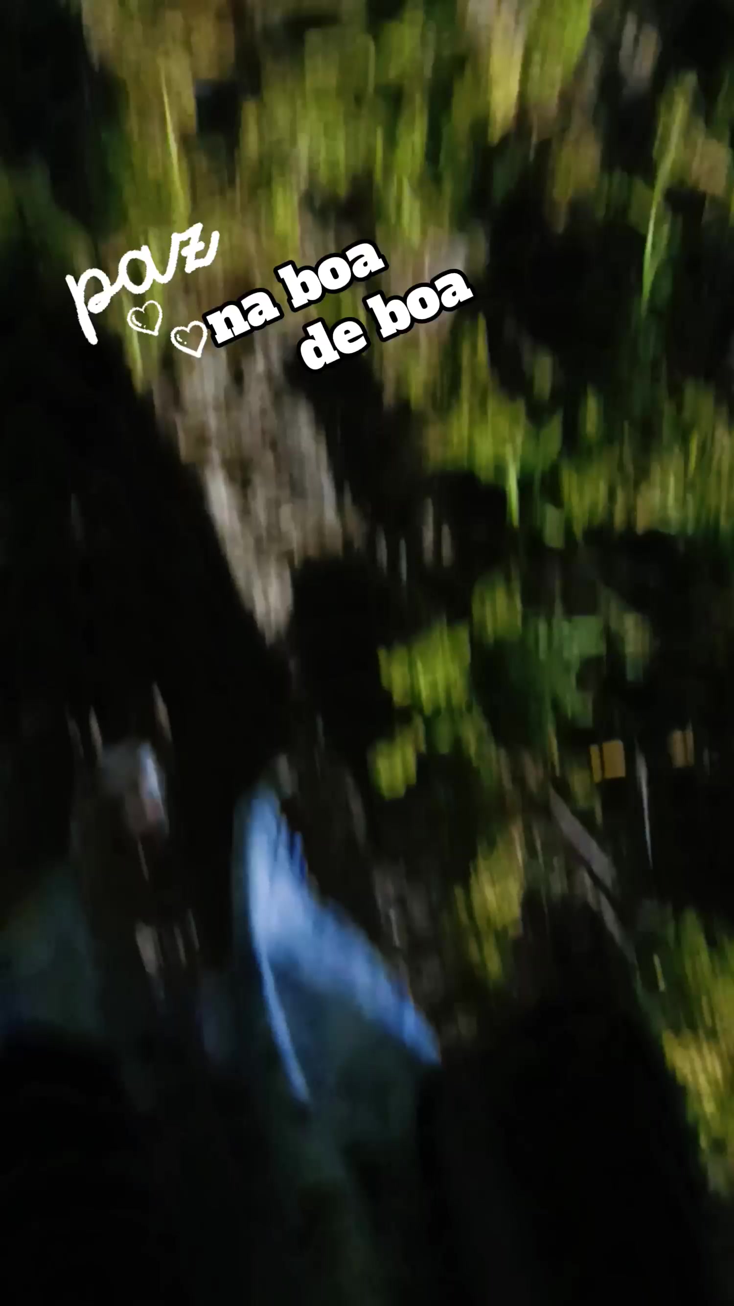 @lubruxinha