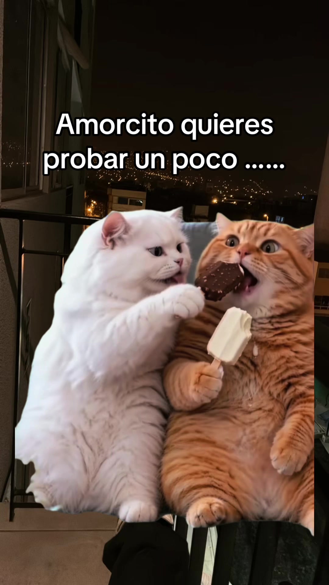 @jansonmania