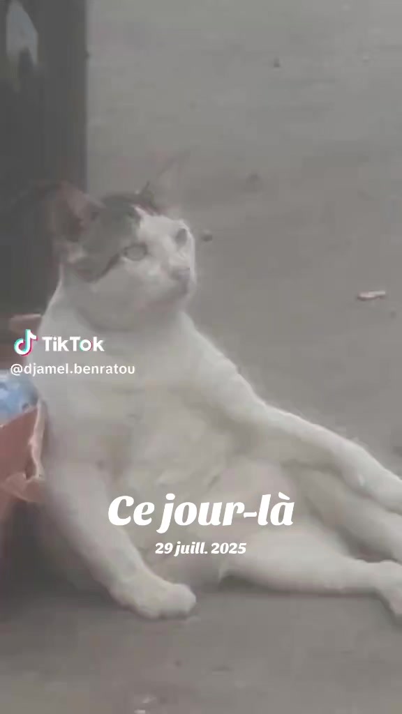 @Zaki Taibi758