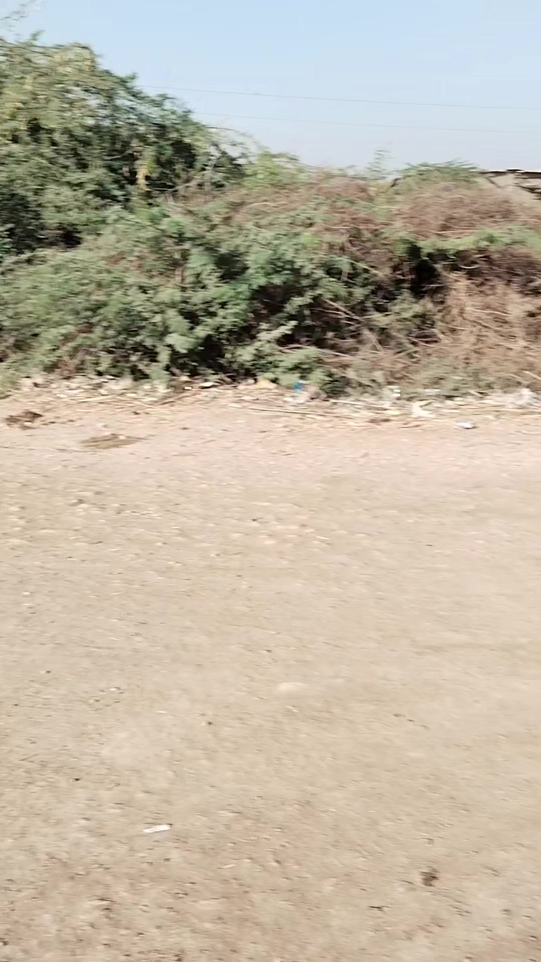 @Mukesh kumar kolhi