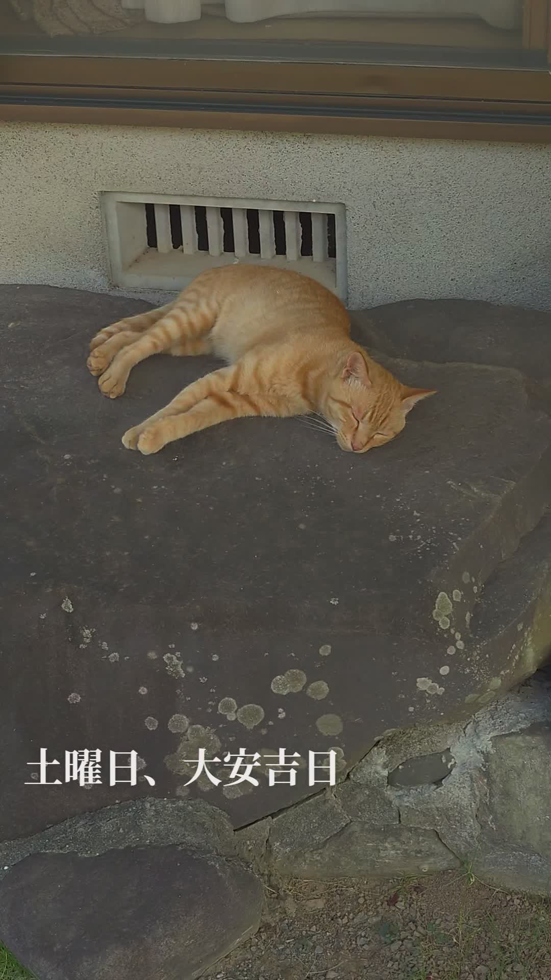 @そら