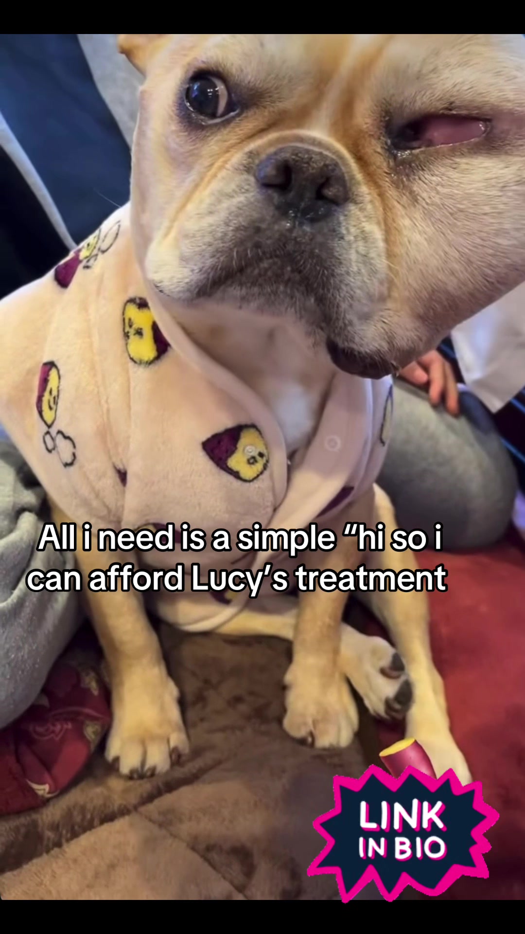 @Surgery for Lucy0