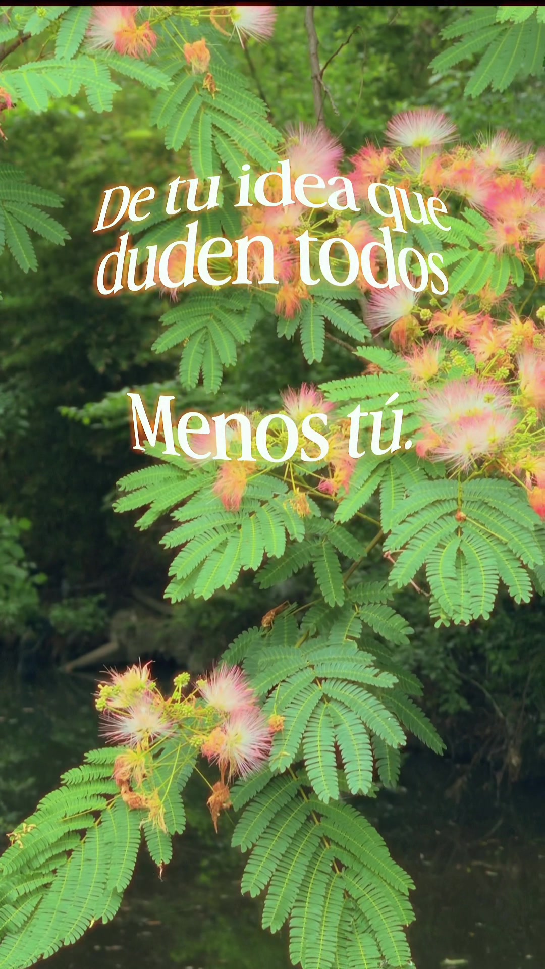 @Jorge Alberto Holguin Lozano