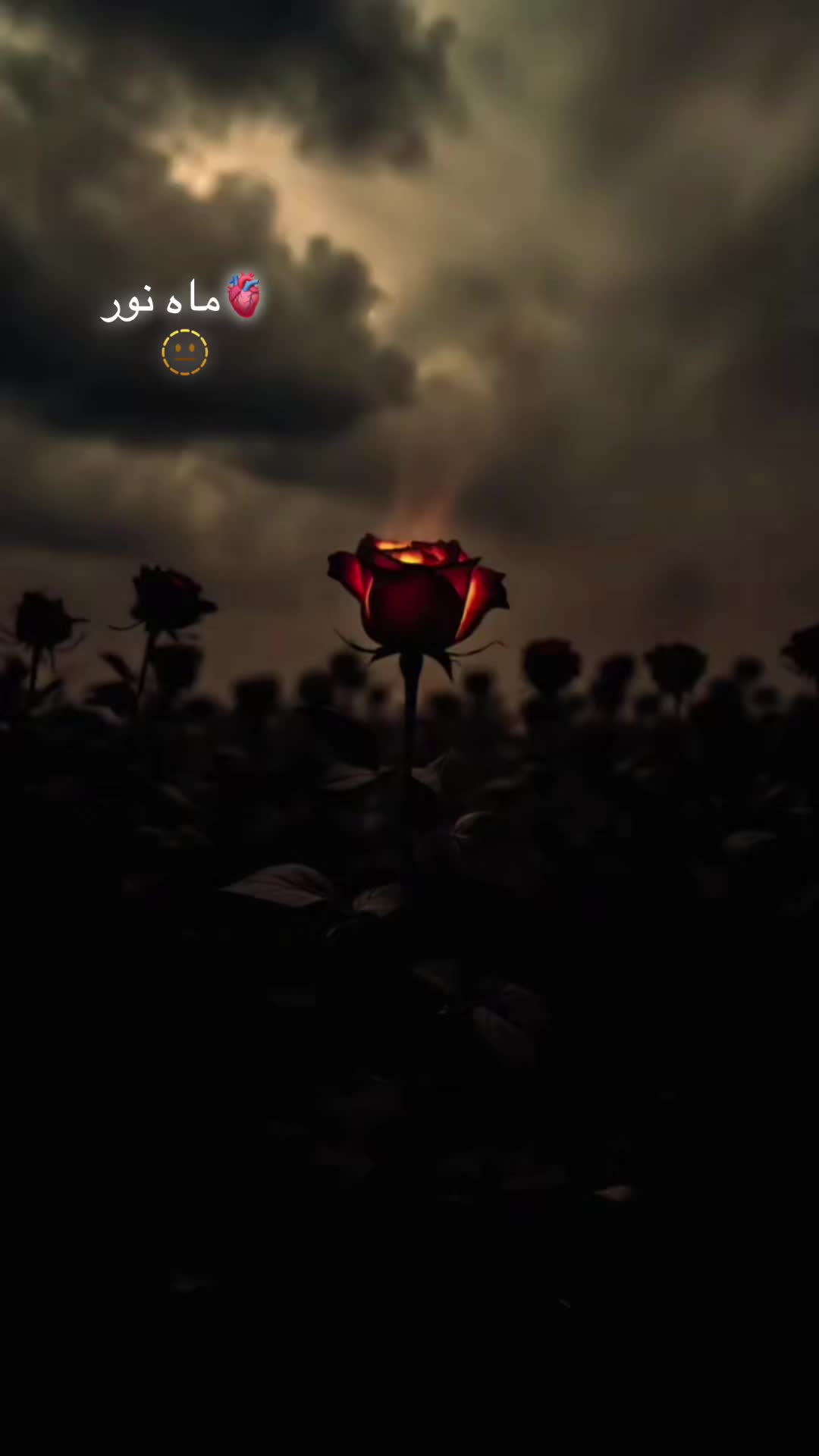 @🫀 ماہ نور