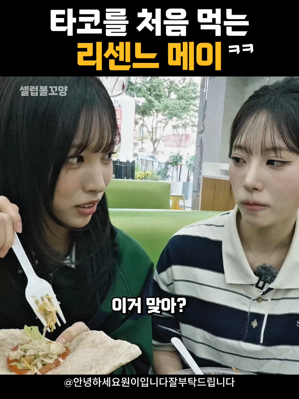 @셀럽볼꼬양