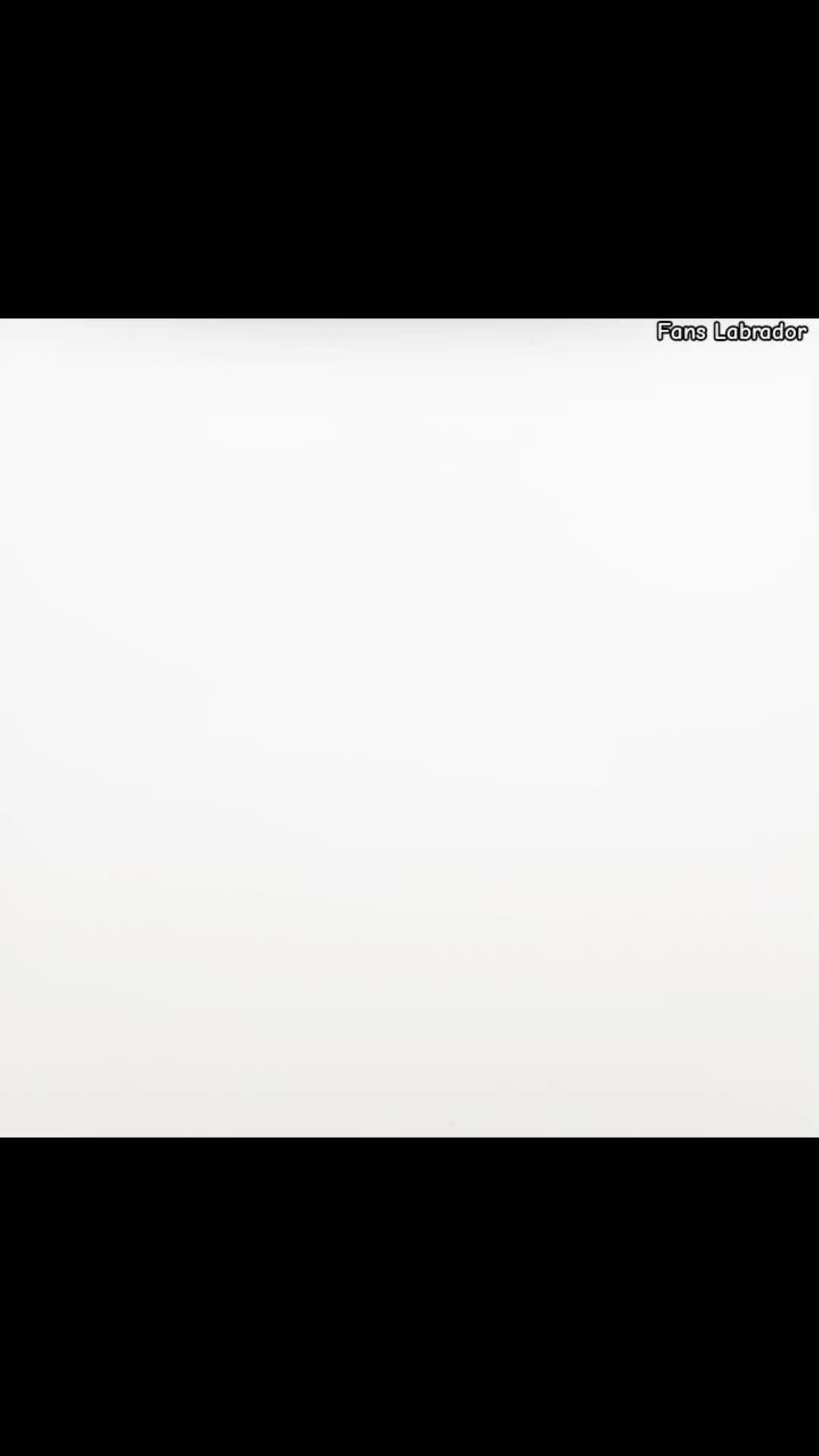 @𝐅𝐚𝐧𝐬 𝐋𝐚𝐛𝐫𝐚𝐝𝐨𝐫