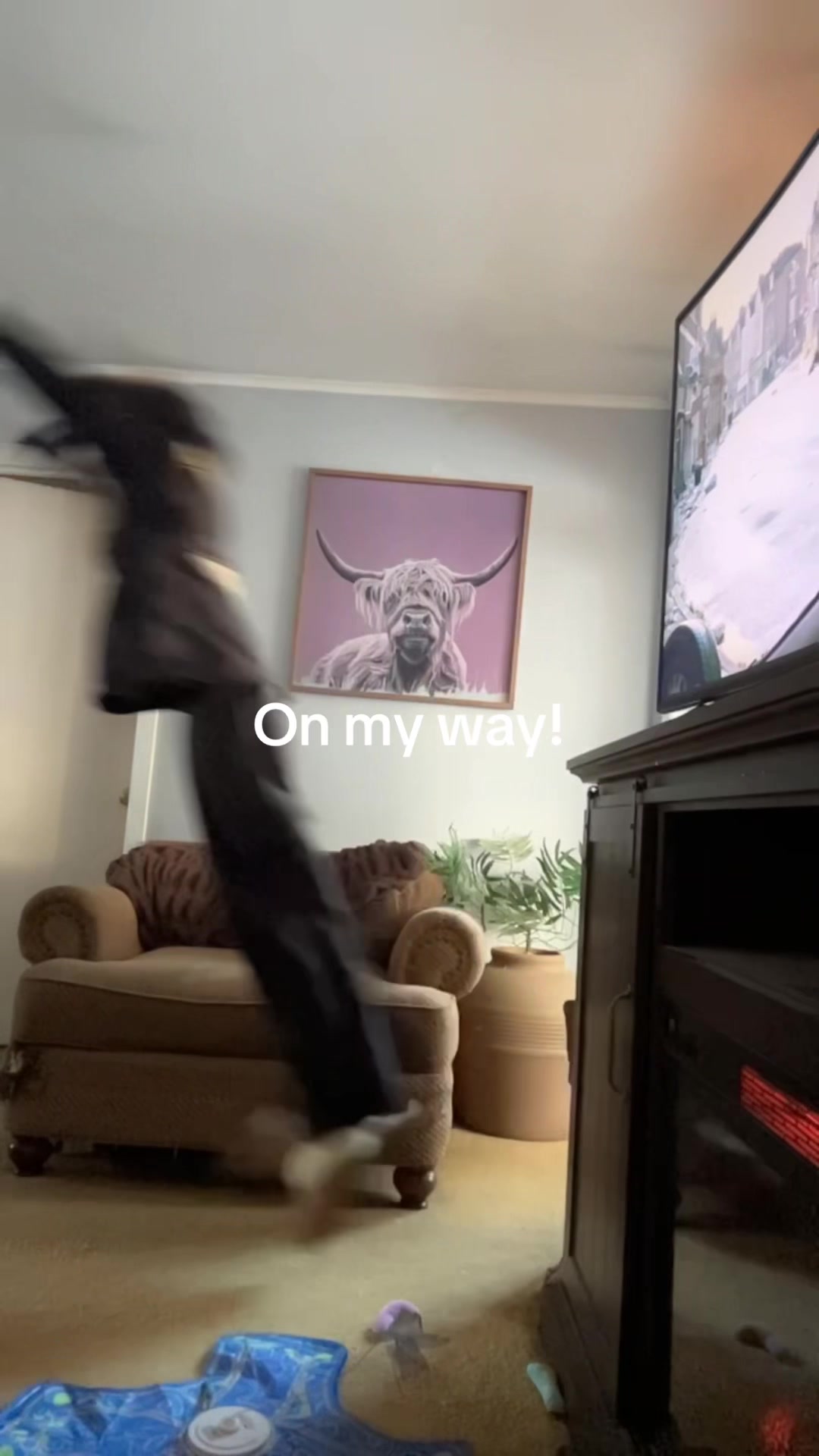 @cat