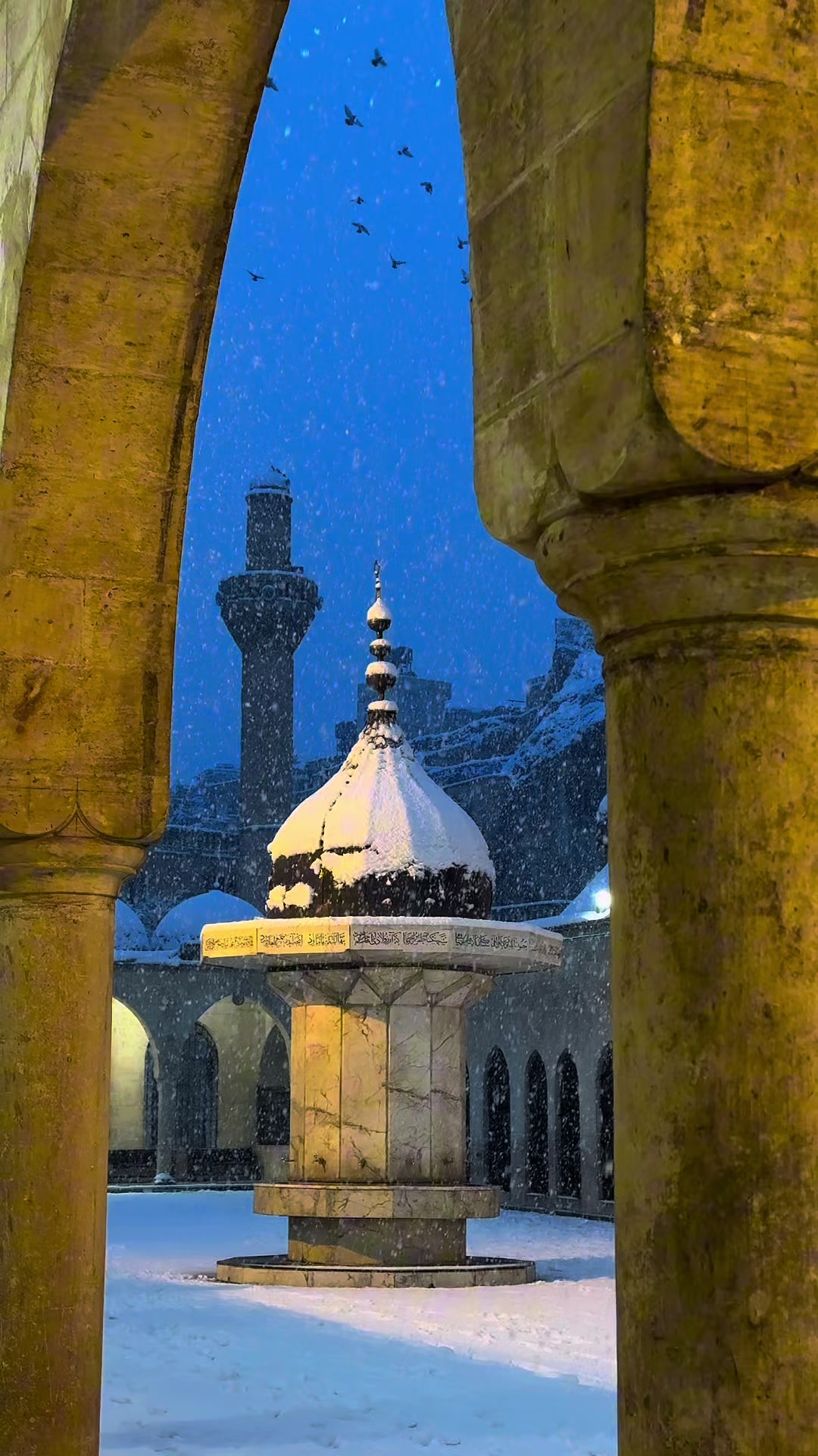 @MehmetDOGAN