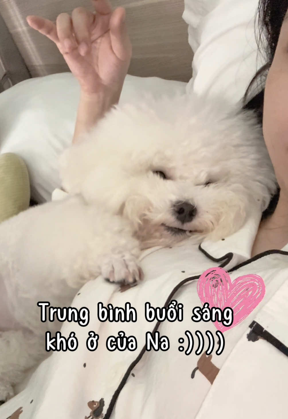 @Gia Đình AvocaBo
