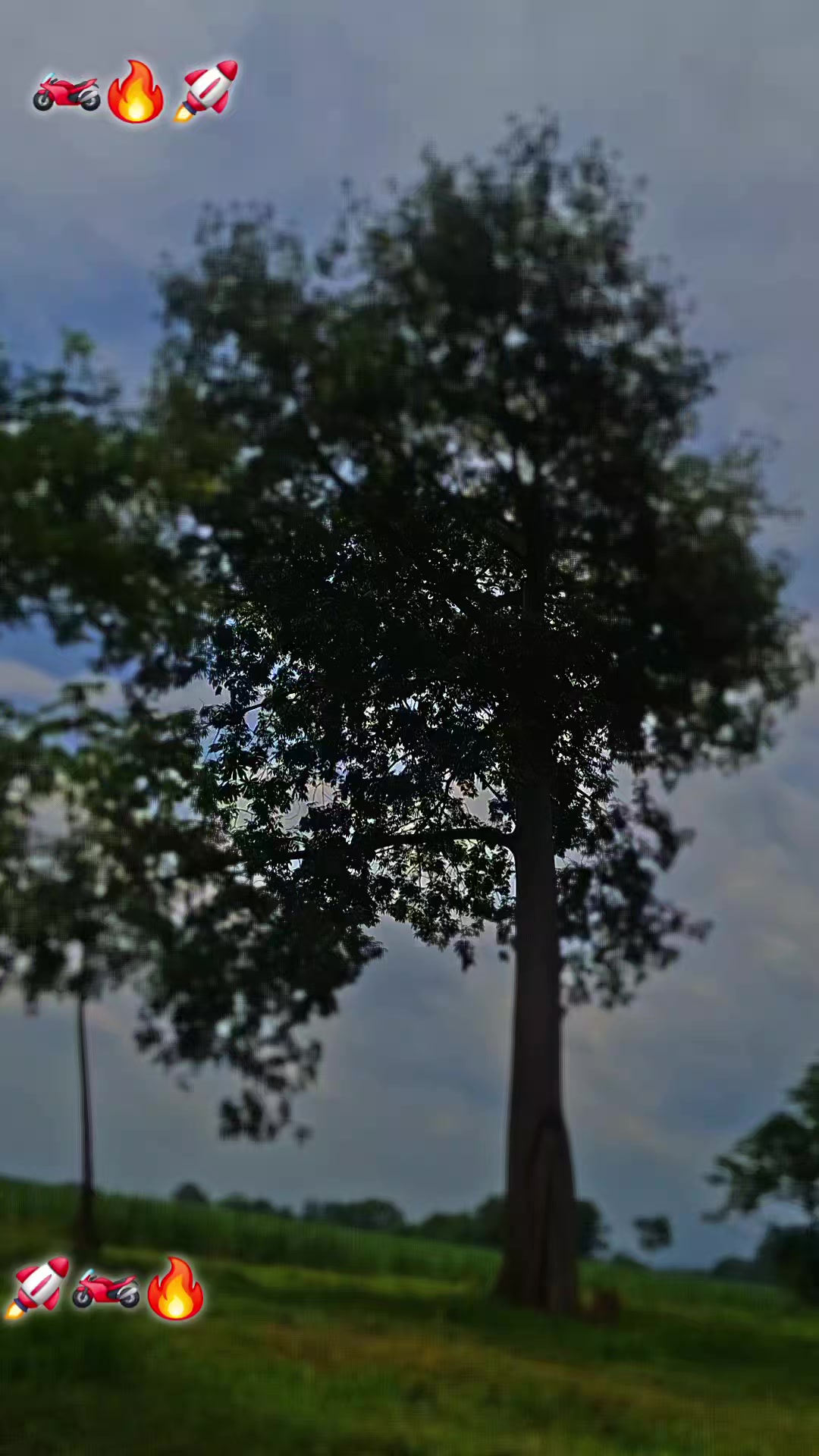 @&Eacute;Ł&iuml;ž&atilde;ňďř&otilde;😍