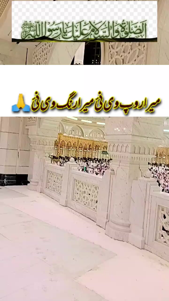 @shakeel naz