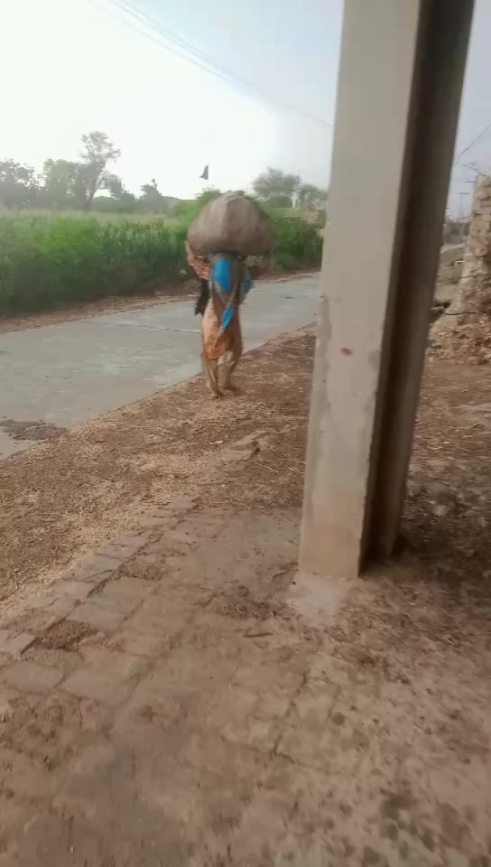 @Raja Sahib