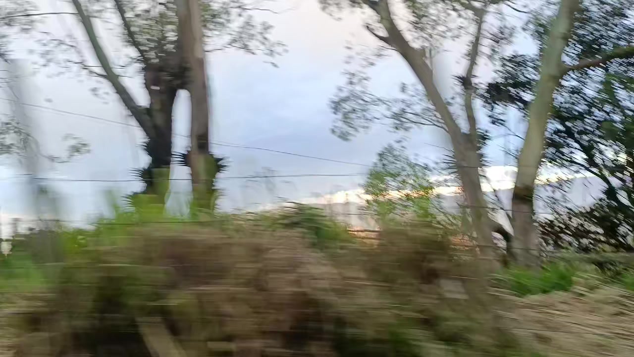 @nnrodriguez783
