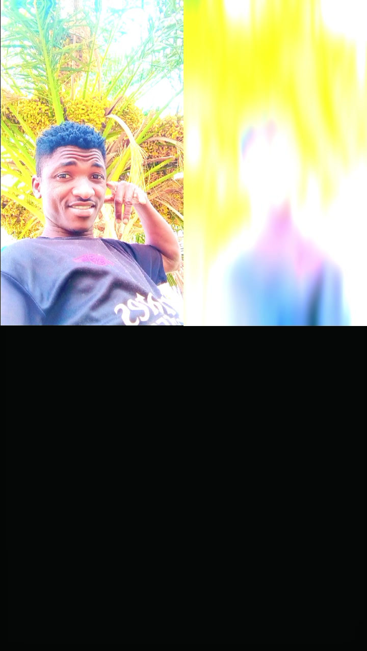 @حامدشعيب ودشمار 🇸🇩🇳🇬⚔️