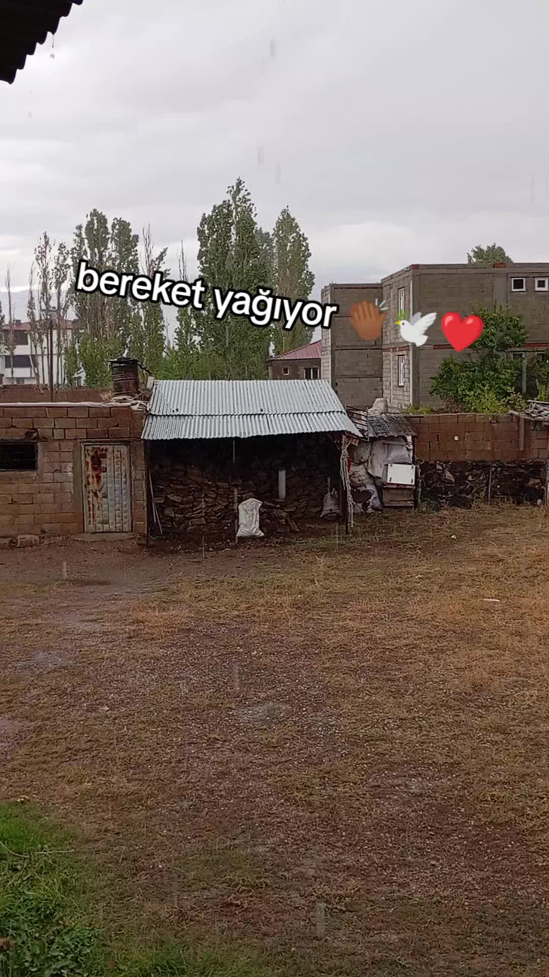 @bazidli adem04
