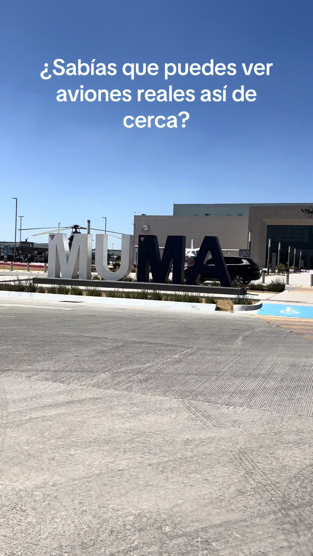 @Diana Alc&aacute;ntara