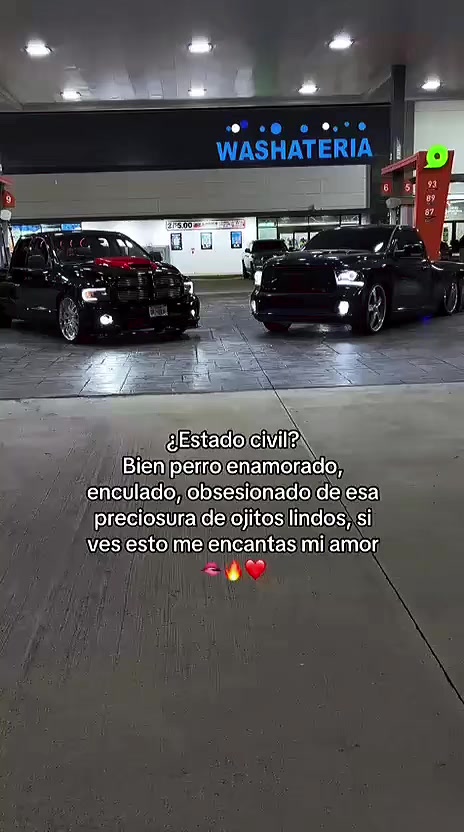 @tigrillo_mx