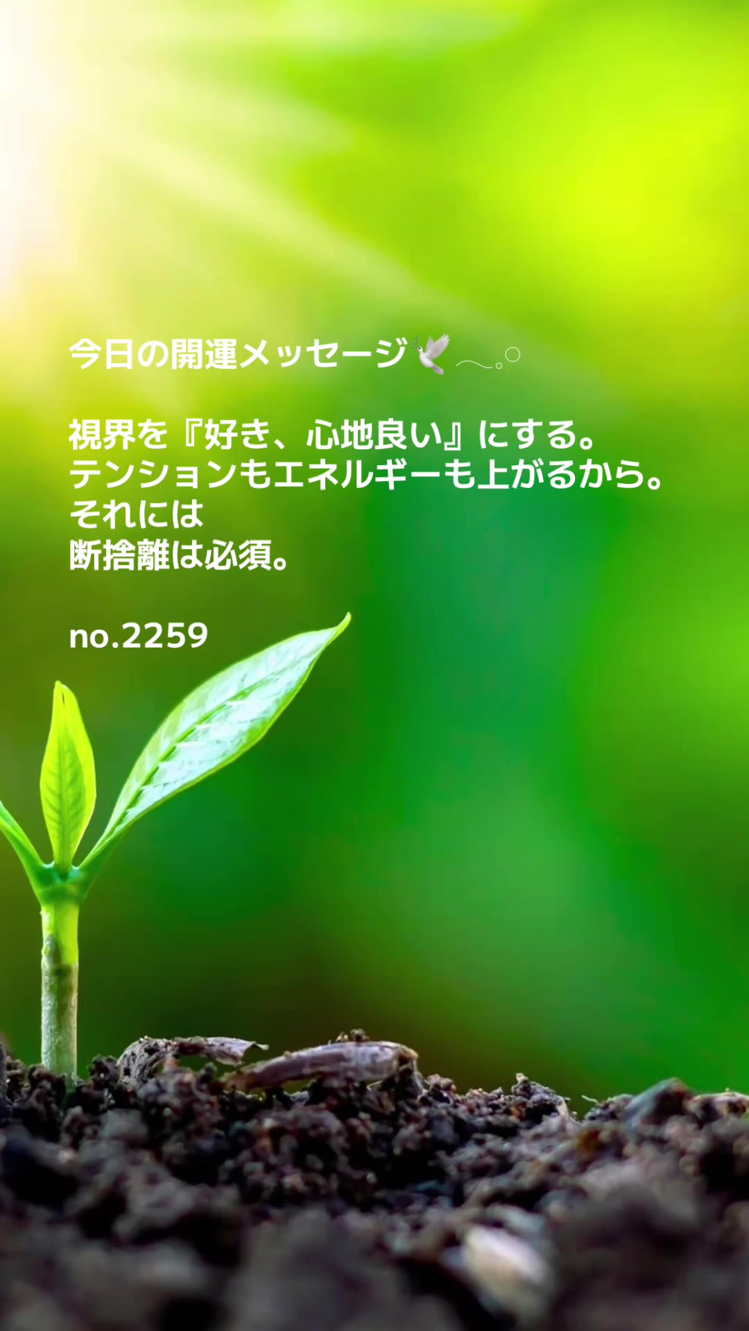 @あま姐さん🫧霊視ヒーラー