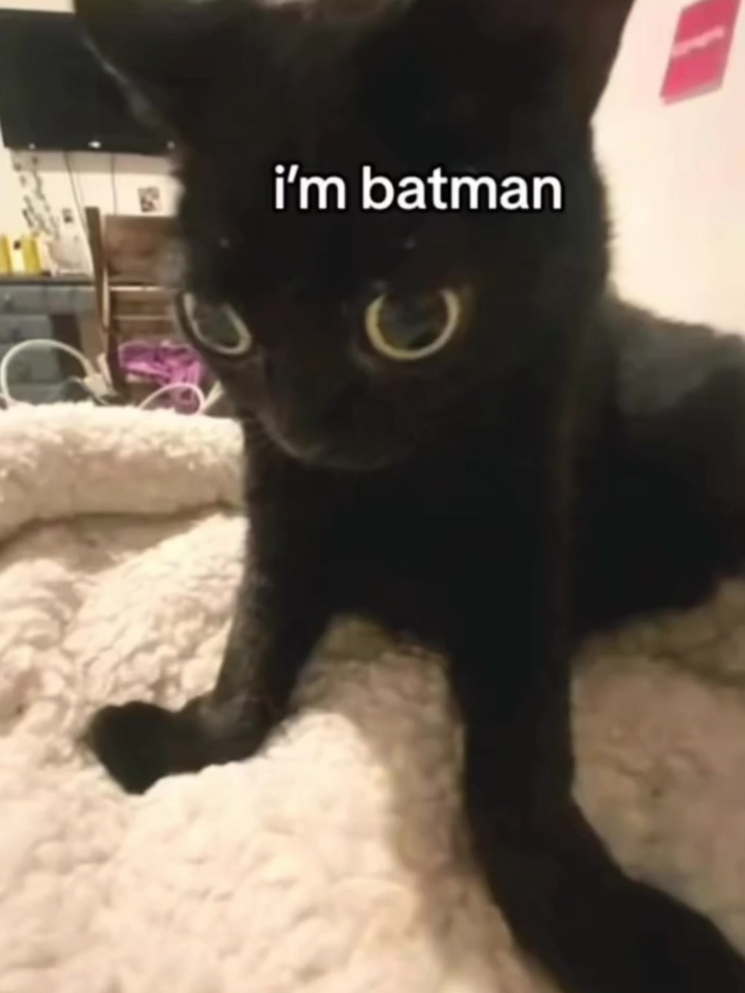@𝐊𝐀𝐈𝐒𝐄𝐑ʲʳ