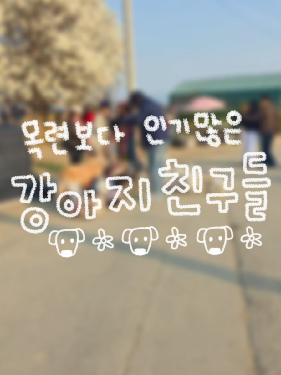@오늘의 금지