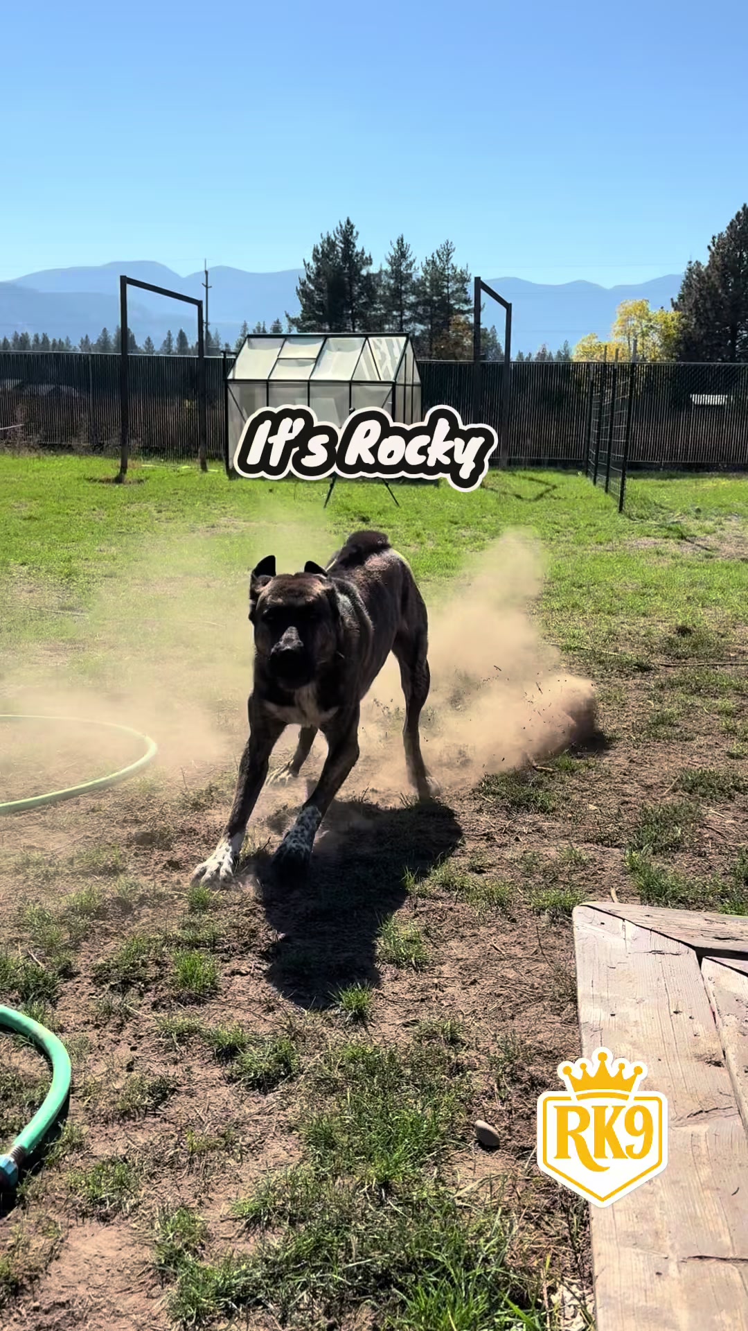 @RighteousK9