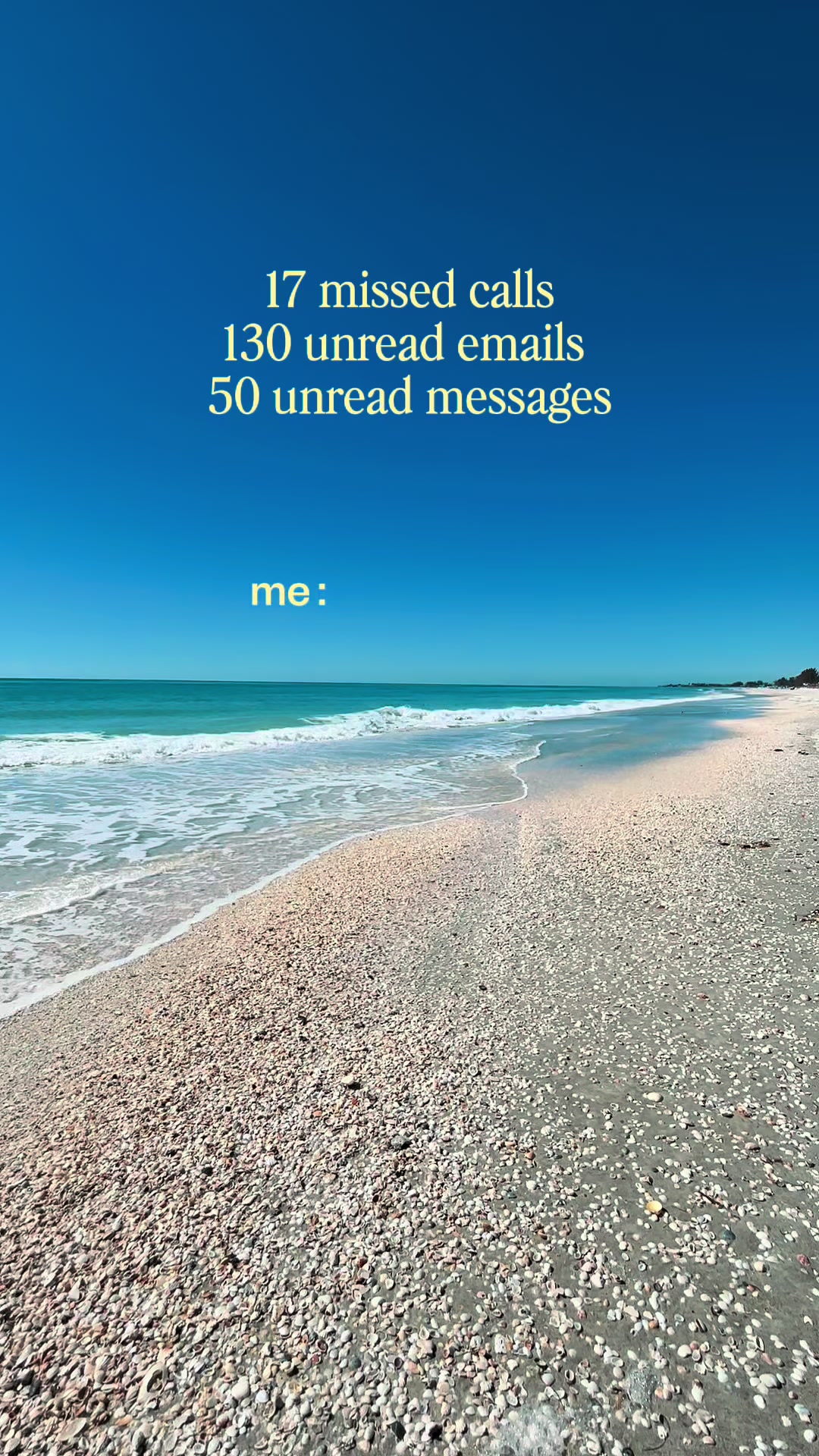 @Sarasota Local Guide 🌊🏝️