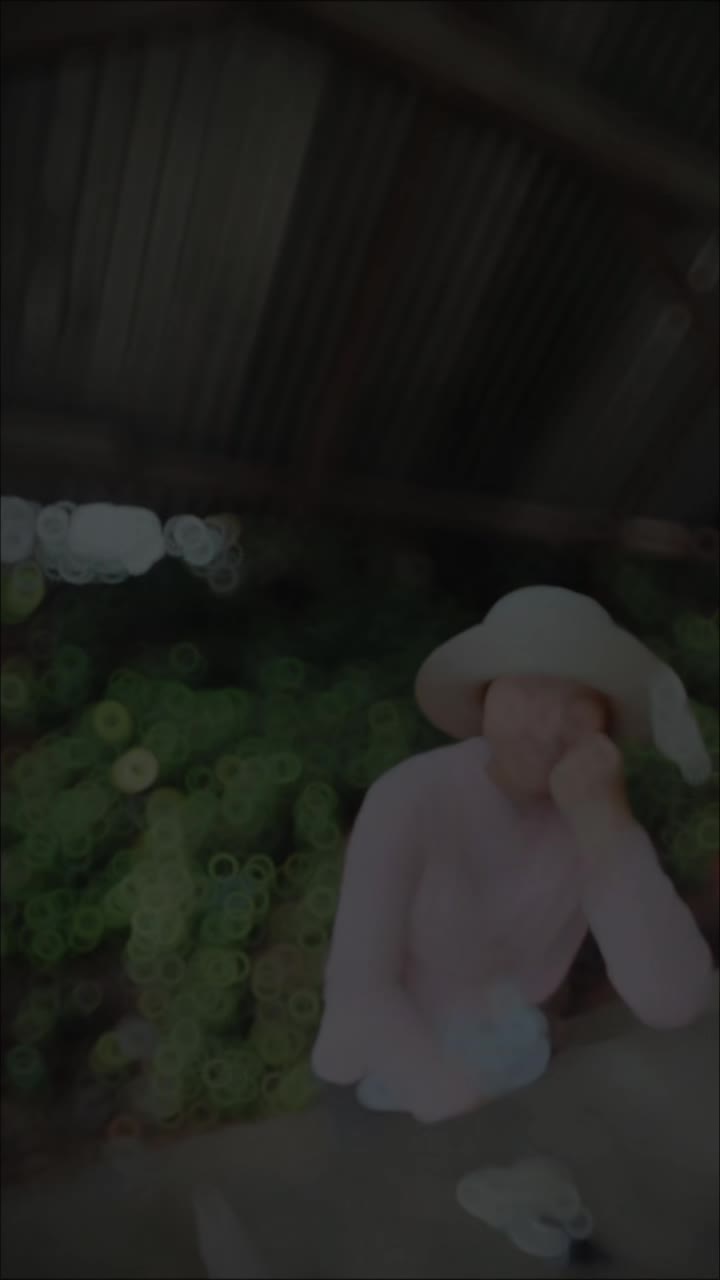 @lotus(မွၵ်ႇမူဝ်)