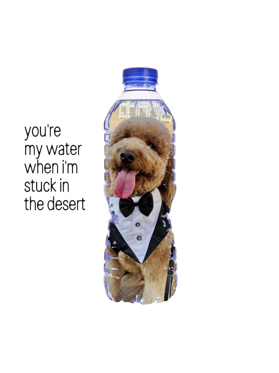 @FairyTail Pet Care