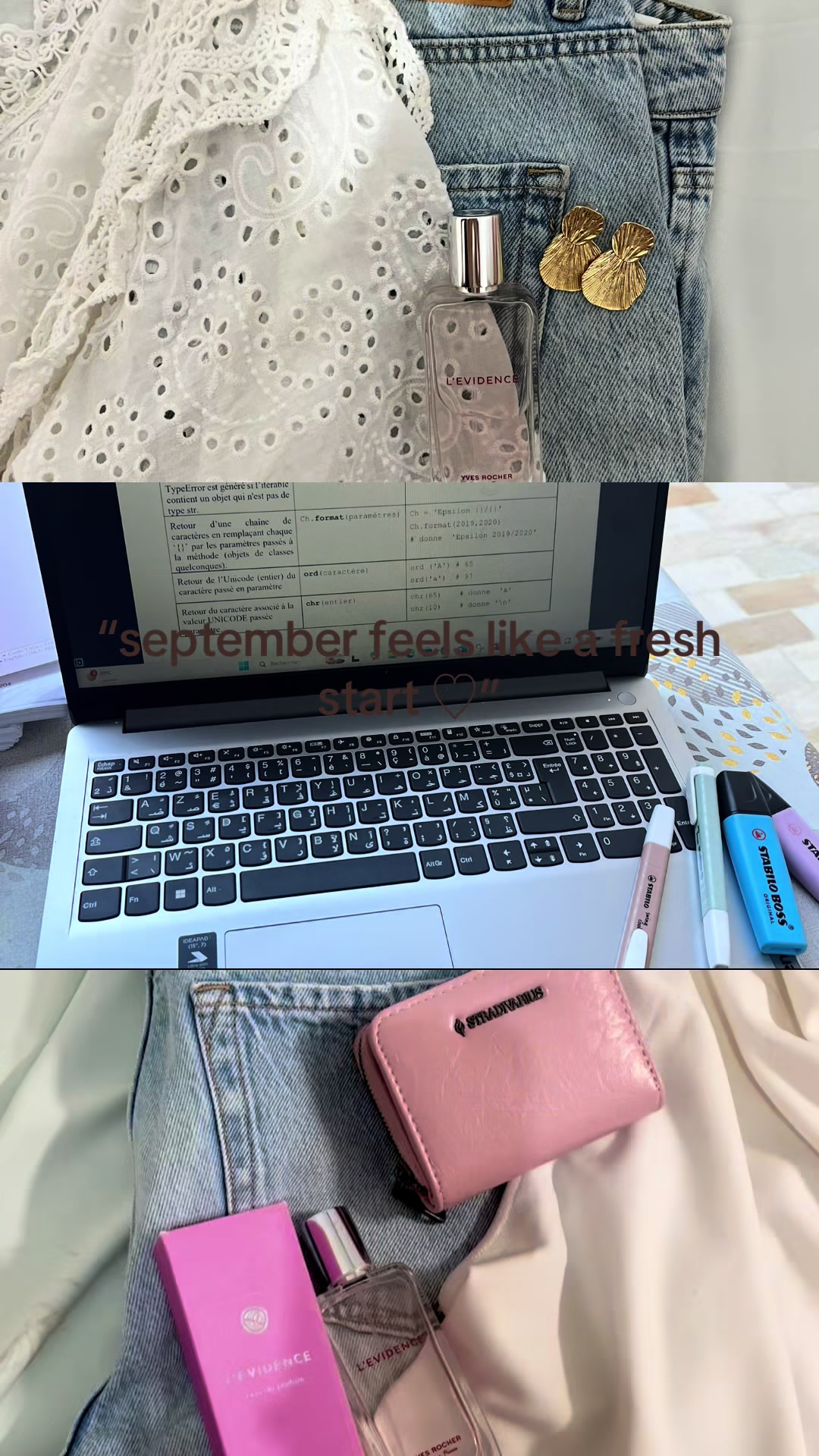 @Lily🐻🦢